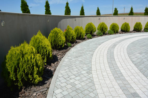 Reasons to Select Us for Your Driveway Paving Requirements in Andalusia, IL